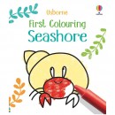 Usborne First Colouring Seashore